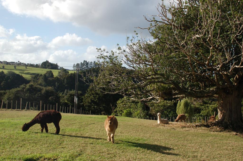 Kohinui Glade Holiday Cottage Parua Bay 外观 照片