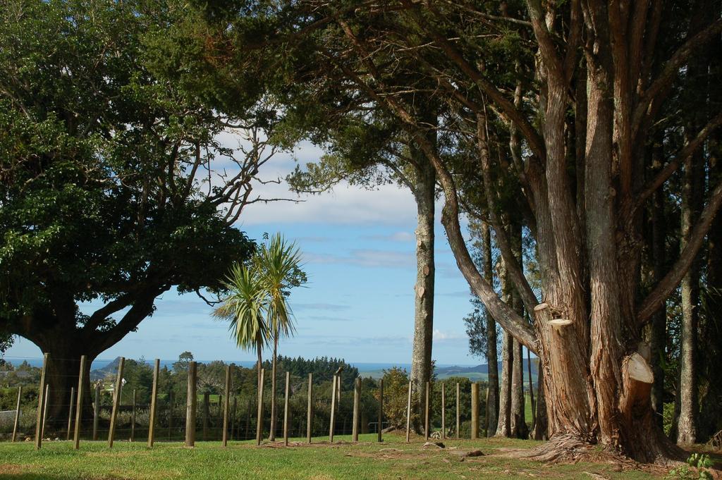 Kohinui Glade Holiday Cottage Parua Bay 外观 照片