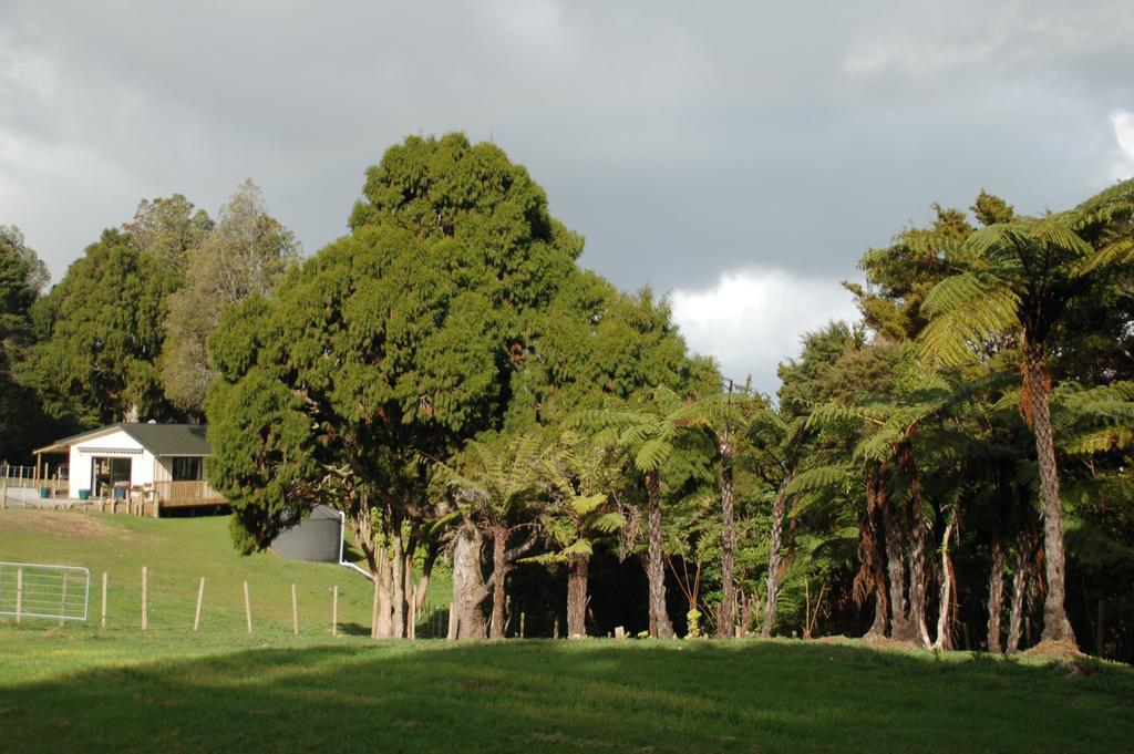 Kohinui Glade Holiday Cottage Parua Bay 外观 照片